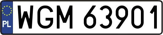 WGM63901