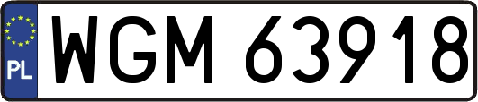 WGM63918