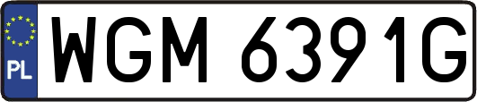 WGM6391G