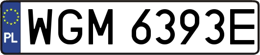 WGM6393E