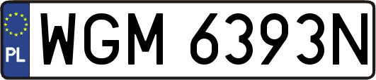 WGM6393N