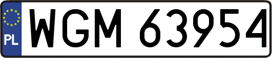 WGM63954