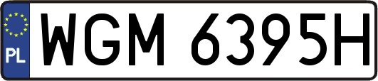 WGM6395H