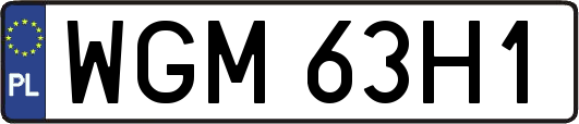 WGM63H1