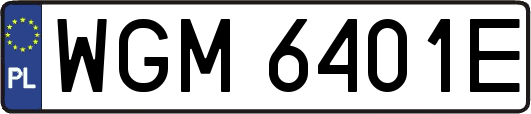 WGM6401E