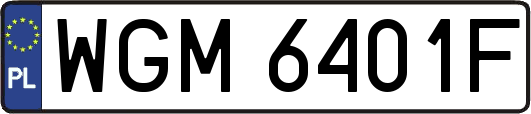 WGM6401F