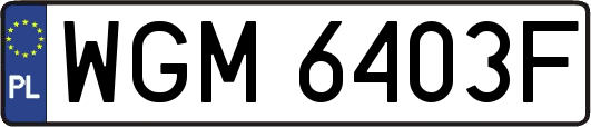 WGM6403F