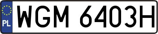 WGM6403H