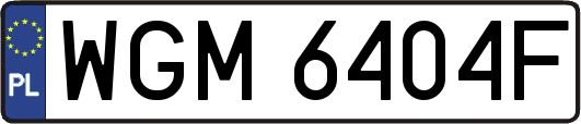 WGM6404F