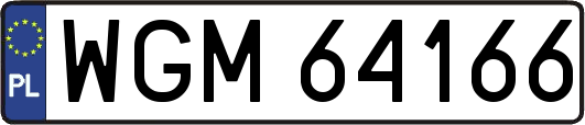 WGM64166