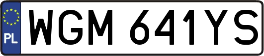 WGM641YS