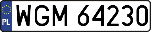 WGM64230