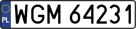 WGM64231