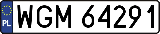 WGM64291