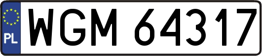 WGM64317