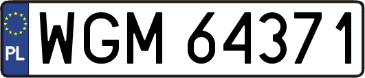 WGM64371