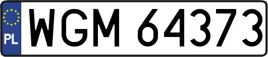 WGM64373