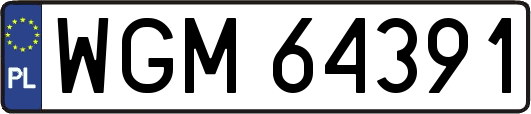 WGM64391