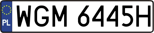 WGM6445H