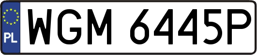 WGM6445P