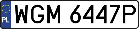 WGM6447P