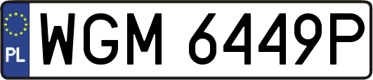 WGM6449P