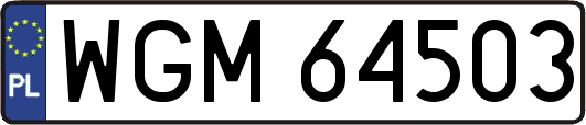 WGM64503