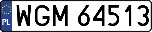 WGM64513