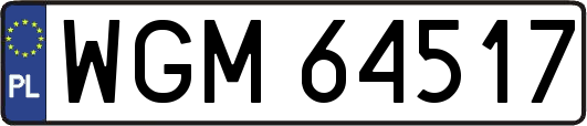 WGM64517