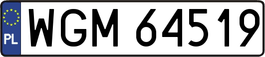 WGM64519