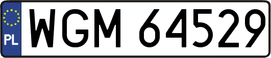 WGM64529