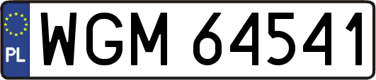 WGM64541