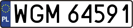 WGM64591