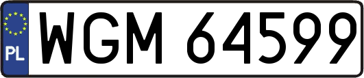 WGM64599