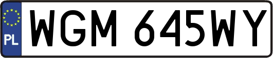 WGM645WY