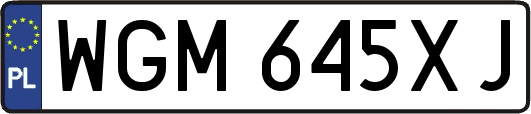 WGM645XJ
