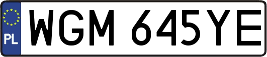 WGM645YE