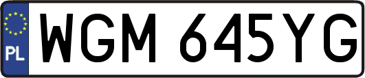 WGM645YG