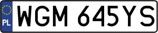 WGM645YS