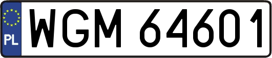 WGM64601