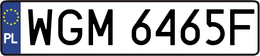 WGM6465F