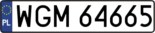 WGM64665