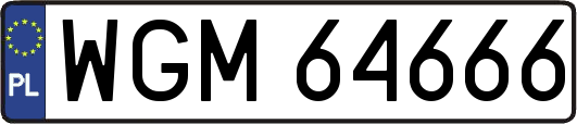 WGM64666
