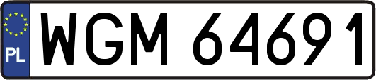 WGM64691