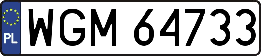 WGM64733