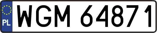 WGM64871