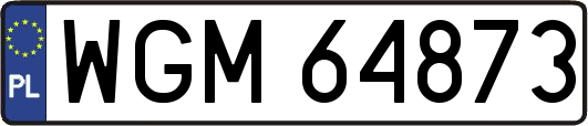 WGM64873