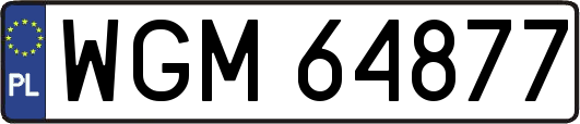 WGM64877