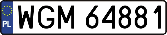 WGM64881