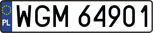WGM64901